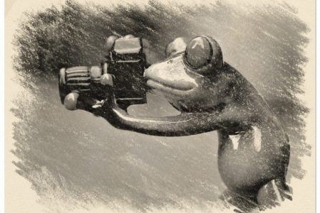 Stofflöwe lernt Ferdinand den Foto-Frosch kennen